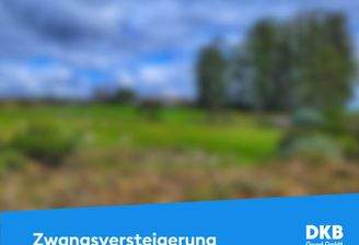 Zwangsversteigerung Grundstück.jpg