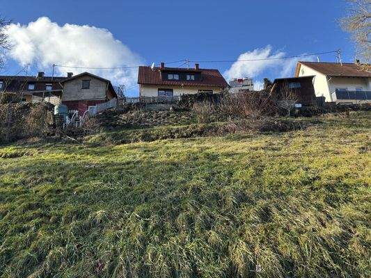 Gartenansicht vom zusätzlichem Flurstück aus