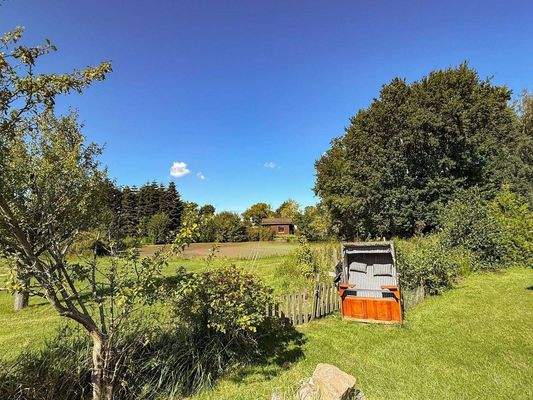 Blick in die Natur, Teich, Grünfläche