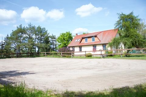 Neutrebbin Häuser, Neutrebbin Haus kaufen