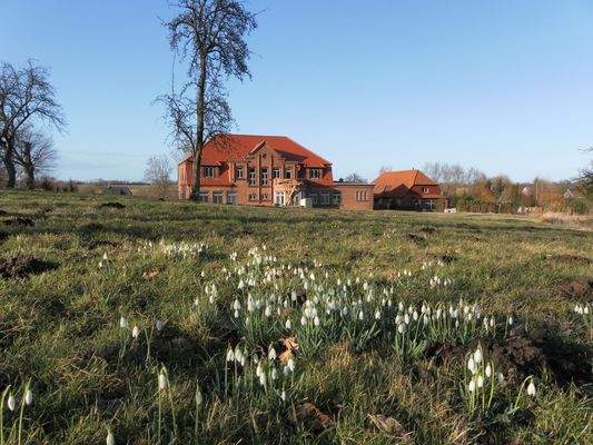 Landhaus Warnkenhagen mit großzügigem Grundstück