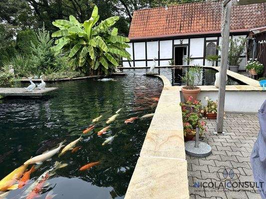 Nebengebäude mit Koi-Karpfenteich