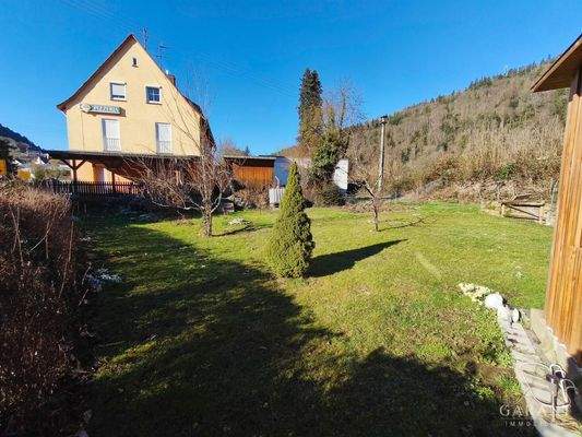 Außenansicht / Garten