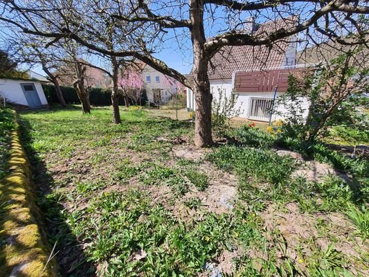 Großer Garten mit Obstbäumen