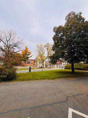 Kopie von IMG_4042.jpg