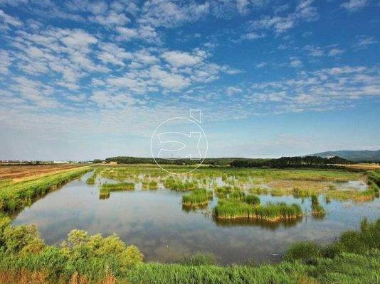 Wundervolles Anwesen | Livorno