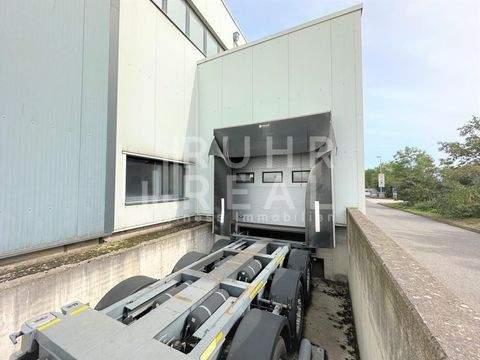 Neuss Halle, Neuss Hallenfläche