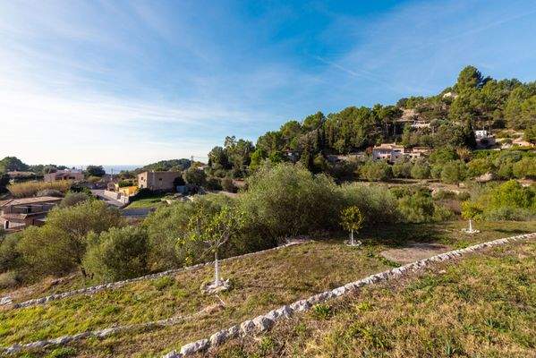 Naturbelassener Garten