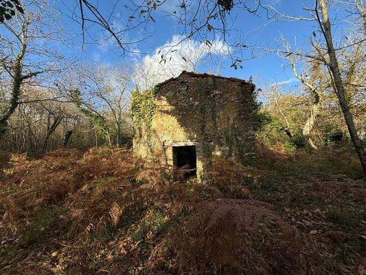 FCB56D4B-4417-4E58-A34A-717BD20D2166_1_102_o