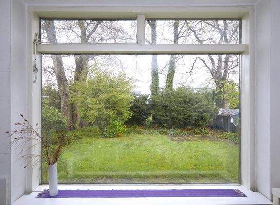 Blick in den Hintergarten