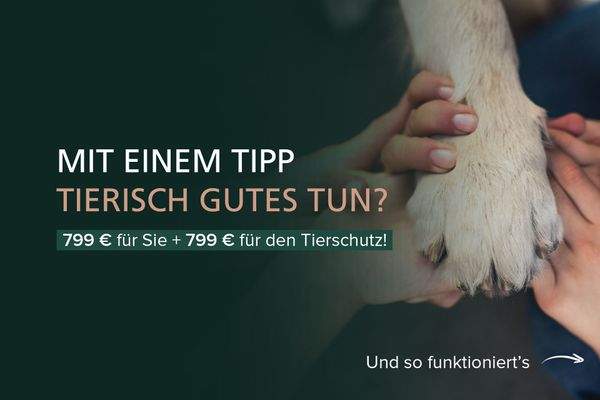 Zwischenbild_Tippgeber_Verein