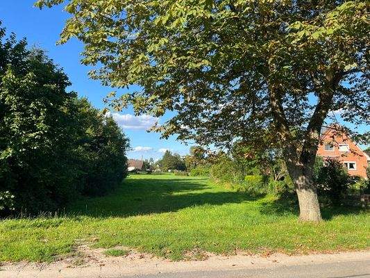 Blick von der Parkstraße - in Höhe Grundstück Nr. 8