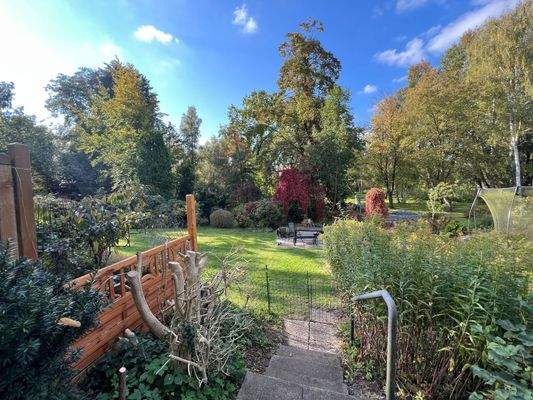 Blick in den Garten 2