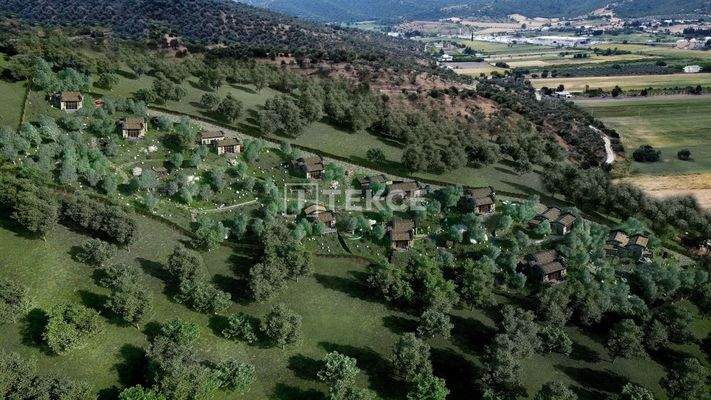 Single-Floor Stone Houses in Green Area in Mugla Milas