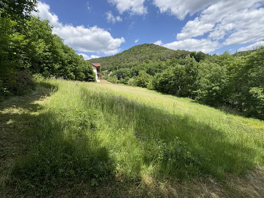 59ddeae7-866a-4663-a90a-16016fe965e3-1907228902