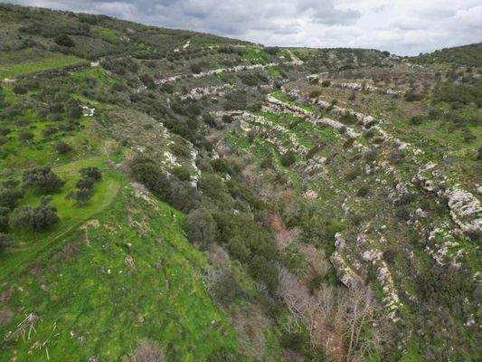 Kreta, Agies Paraskies: Großes Grundstück zu verkaufen