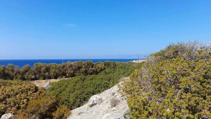 Kreta, Stavros: Eckgrundstück mit Meerblick zu verkaufen