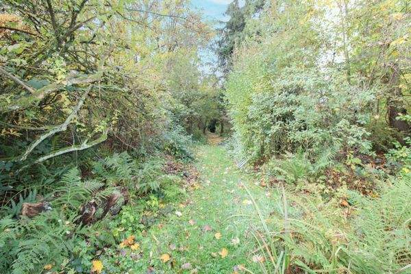 Naturnaher Waldbereich für Erholungspausen