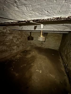 IMG_4475.jpg