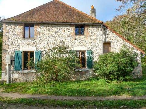 Cosne-Cours-sur-Loire Häuser, Cosne-Cours-sur-Loire Haus kaufen