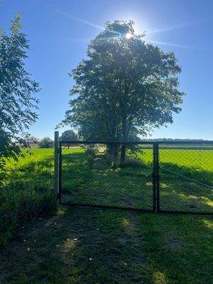 Groß (IMG_7661).jpeg