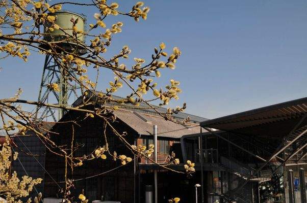 Ansicht Jahrhunderthalle