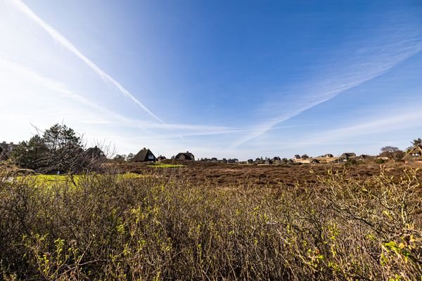 Blick über die Heide