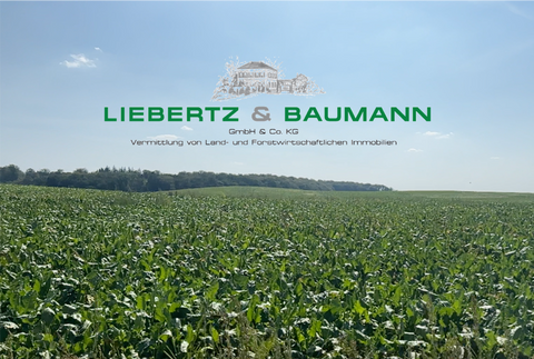 Rostock Bauernhöfe, Landwirtschaft, Rostock Forstwirtschaft