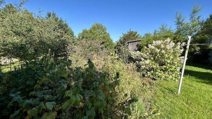 Großes Gartengrundstück