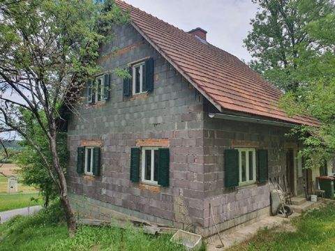 Sankt Andrä-Höch Bauernhöfe, Landwirtschaft, Sankt Andrä-Höch Forstwirtschaft