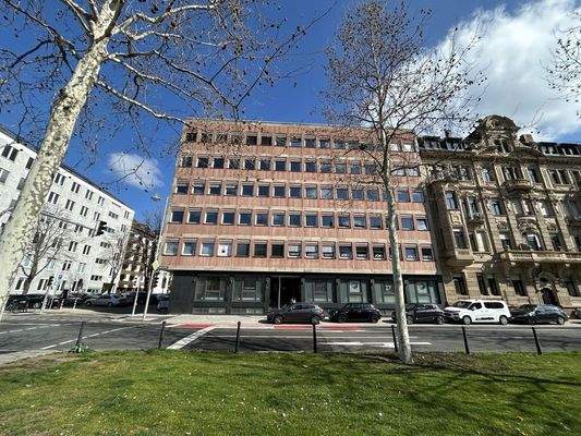 6fe62200-298b-46a6-899f-ba11d8e3260f-1891566260.jp