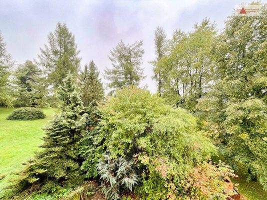 Ausblick auf die Grünanlage