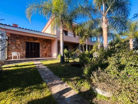 San Teodoro Wohnungen, San Teodoro Wohnung kaufen
