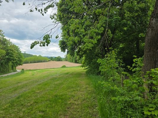 Pachtgrundstück