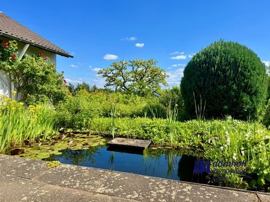 Gartenteich