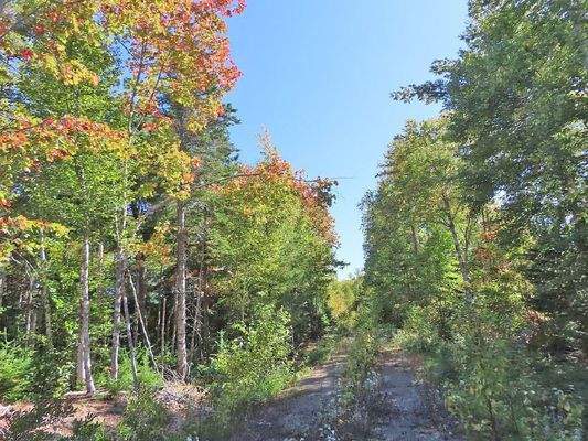 Cape Breton - Bras d`Or Lake - Tolles See-Ufergrun