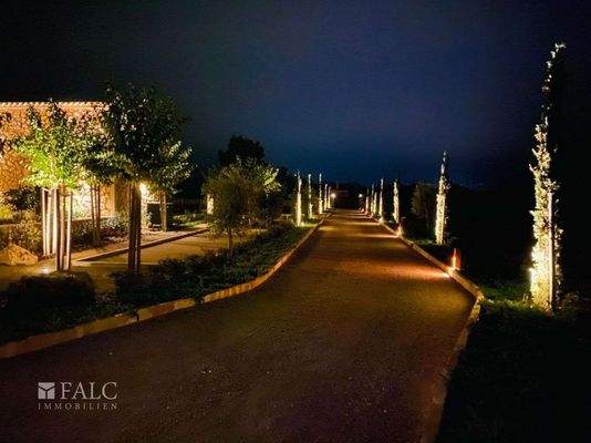 4c0d802f-c67a-47bf-950e-8b43c2de12fd