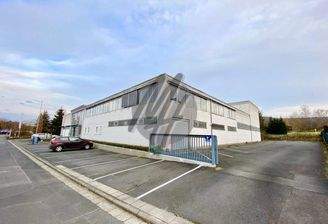 INFOS UNTER: 06171-586000