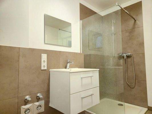 Basement: Daylight bathroom with shower