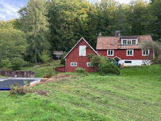 Eva (1)_1_11zon.jpeg