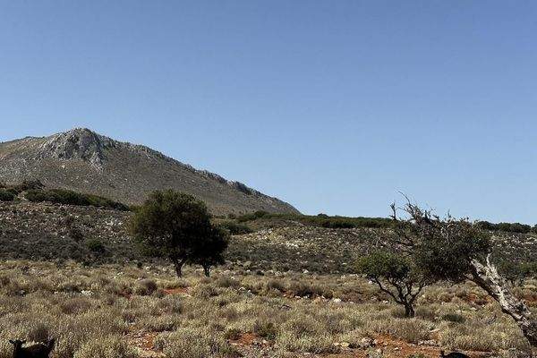 Kreta, Kokkino Chorio: Spektakuläres 80.000 m² großes Grundstück mit Meerblick auf Kreta zum Verkauf