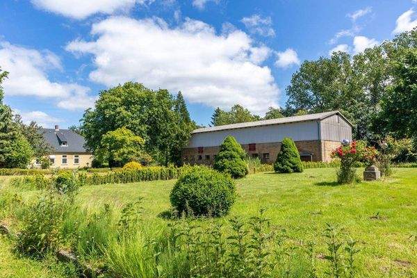 Gartenimpression im Sommer