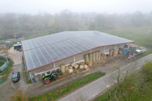 dji_fly_20251106_123650_392_1762430282292_photo.jp