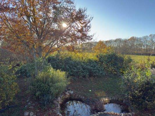 Blick aus dem Obergeschoss