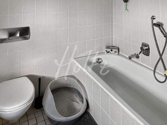 DG - Badezimmer Bild 2