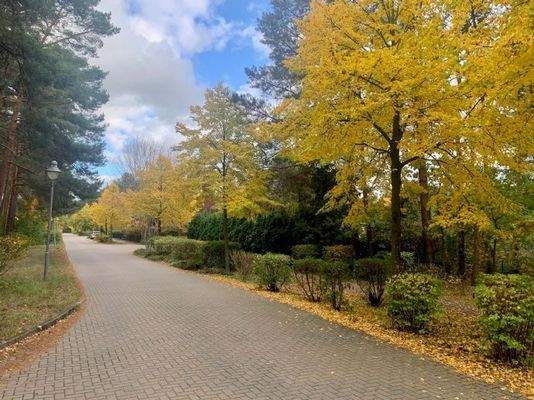 Umgebung Parallelstraße