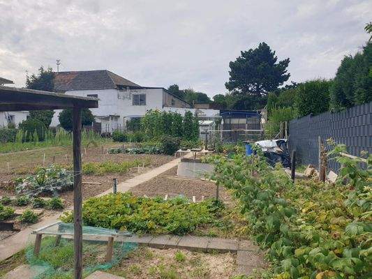 Teilansicht Garten (5)