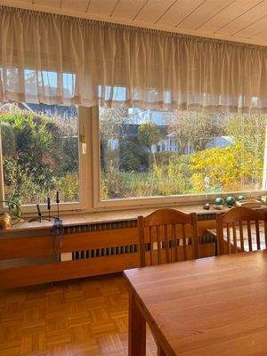 Ausblick in den Garten