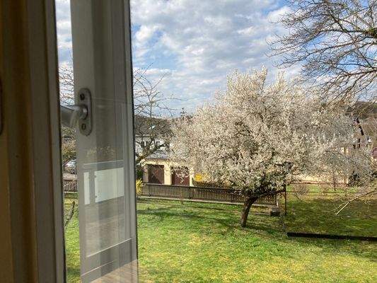 Blick aus der Küche