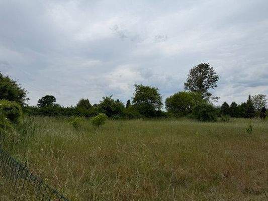 Grundstückansicht (2).jpg